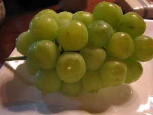 IMG_0025